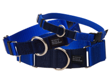 Buckle Martingale Collar
