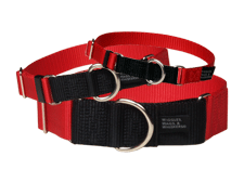 Martingale Collars